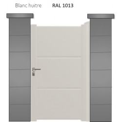 RAL 1013