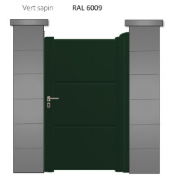 RAL 6009