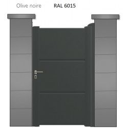 RAL 6015