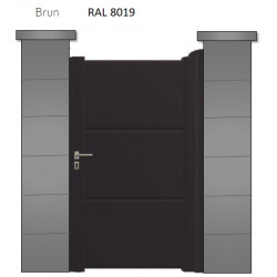 RAL 8019