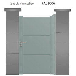 RAL 9006