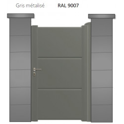 RAL 9007
