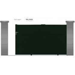 RAL 6009