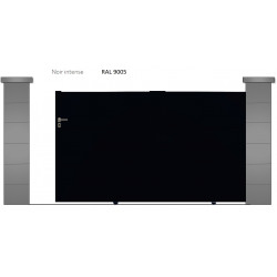 RAL 9005
