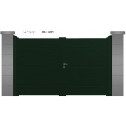 RAL 6009