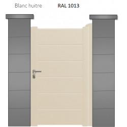 RAL 1013