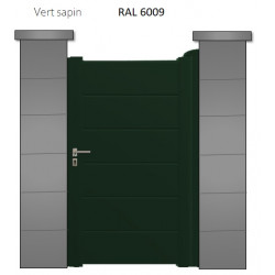 RAL 6009