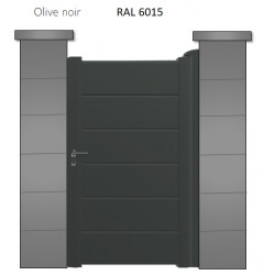RAL 6015