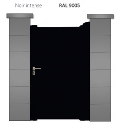 RAL 9005
