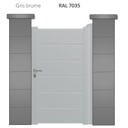 RAL 9006