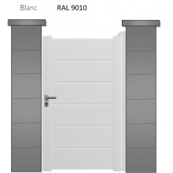RAL 9010