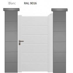 RAL 9016