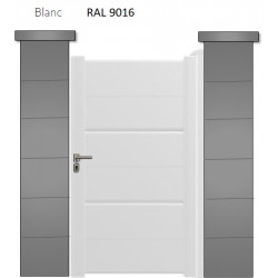 RAL 9016