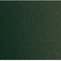 RAL 6005