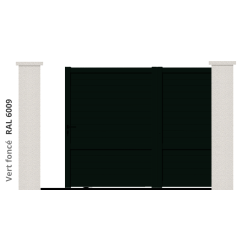 RAL 6009