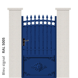 RAL 5005
