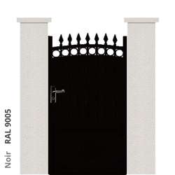 RAL 9005