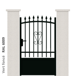RAL 6006