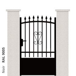 RAL 9005