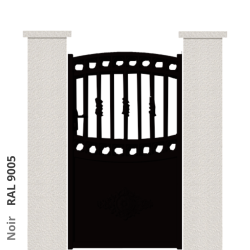 RAL 9005