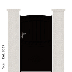 RAL 9005