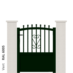 RAL 6005