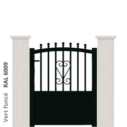 RAL 6009