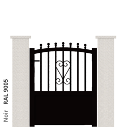 RAL 9005