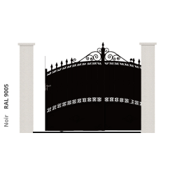 RAL 9005