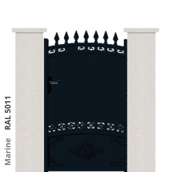 RAL 5011