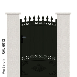 RAL 6012