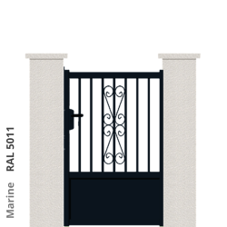 RAL 5011