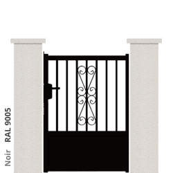 RAL 9005