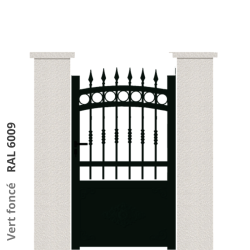 RAL 6009