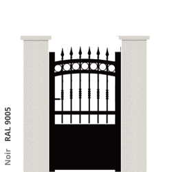 RAL 9005