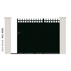 RAL 6009