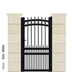 RAL 9005