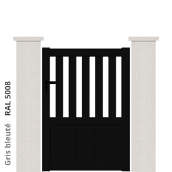 RAL 5008