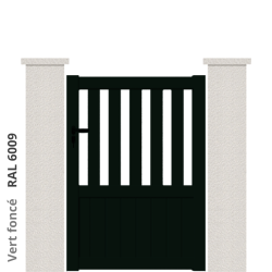 RAL 6009