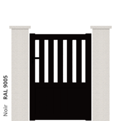 RAL 9005