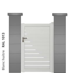 RAL 1013