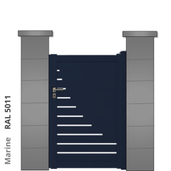 RAL 5011