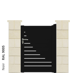 RAL 9005