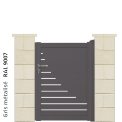 RAL 9007