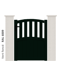 RAL 6009