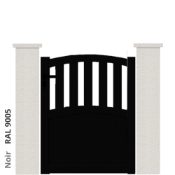 RAL 9005