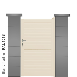 RAL 1013