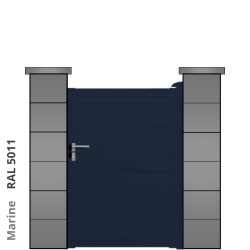 RAL 5011