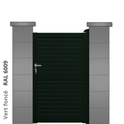 RAL 6009