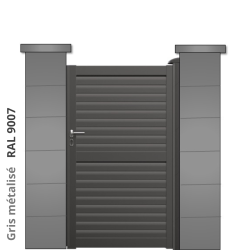 RAL 9007
